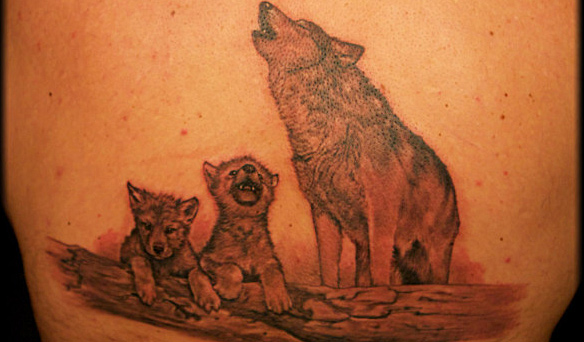 Shane O'Neill Tattoo Elimination Challenge 4